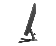 IIYAMA G-Master G2441HSU-B1 Black Hawk - 1370362 - zdjęcie 5